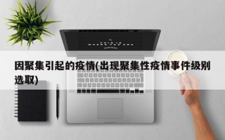 因聚集引起的疫情(出现聚集性疫情事件级别选取)